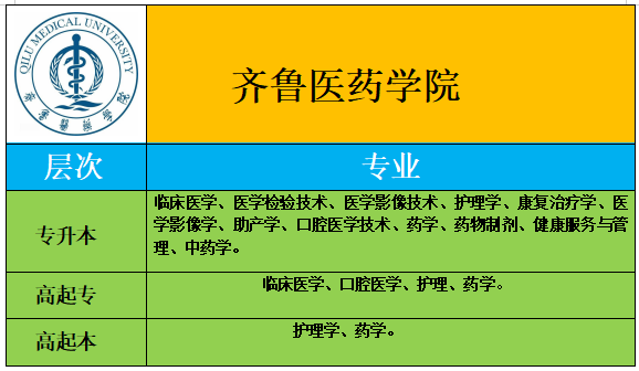 齐鲁医药学院.png